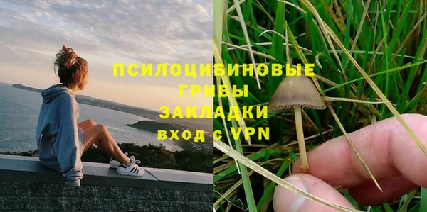 ПСИЛОЦИБИНОВЫЕ ГРИБЫ Алексин